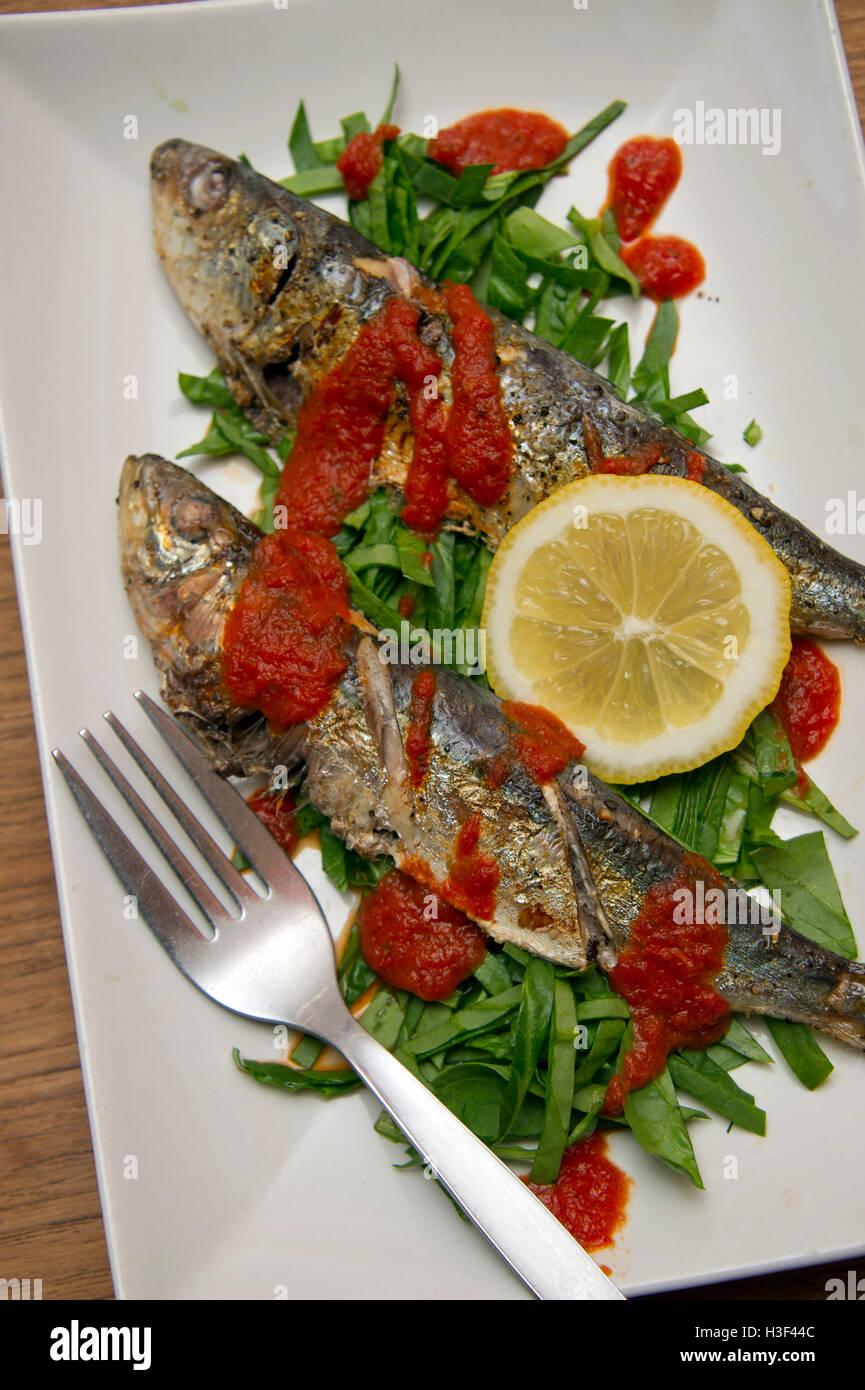 "Rose of Denmark" Wirtshaus in Hotwells, Bristol, UK. Stockfoto