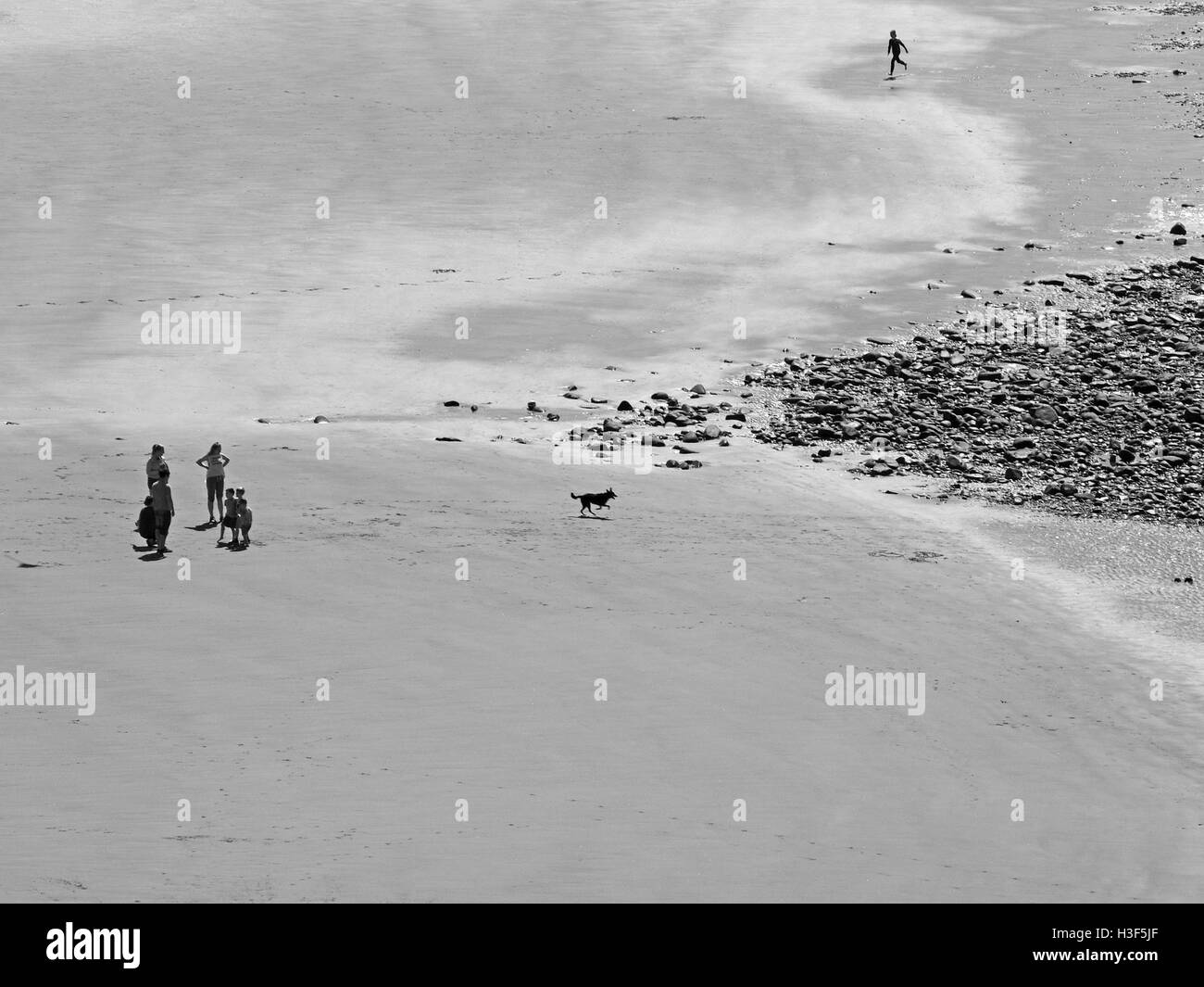 blickte auf eine Familie mit laufender Hund am malerischen Strand von St Bees Cumbria schwarz und weiß Stockfoto