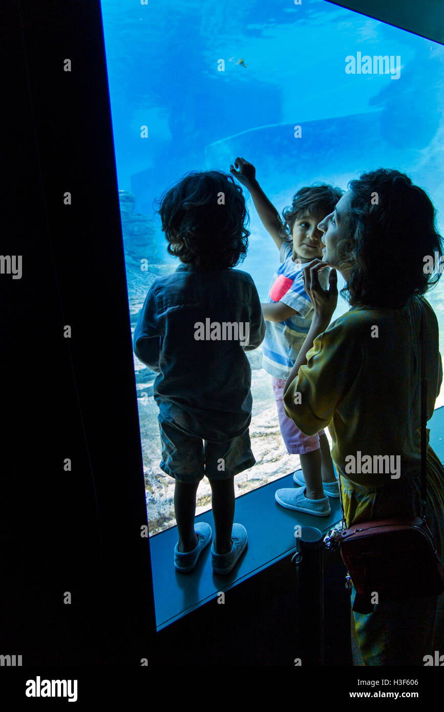 Singapur, Sentosa, Meeresaquarium, Mutter und Kinder Fisch im großen Tank anzeigen Stockfoto