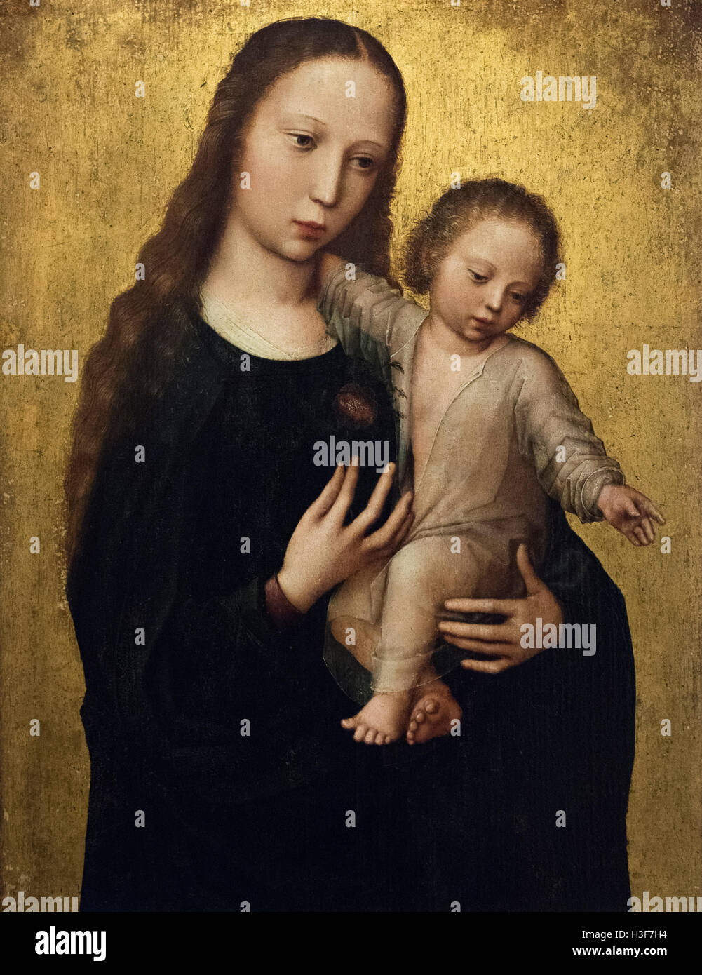 Ambrosius Benson (ca. 1484-1550), die Madonna mit Kind, erste Hälfte des 16. Jahrhunderts. Stockfoto