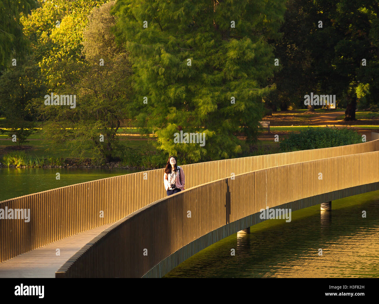 Die Sackler Crossing Fußgängerbrücke in Kew Gardens. Stockfoto