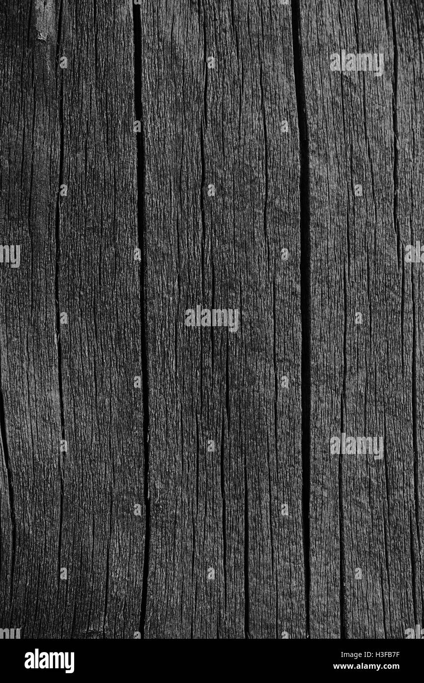 Holzbrett Board Grau Schwarzen Holzteer Farbe Textur Detail Große