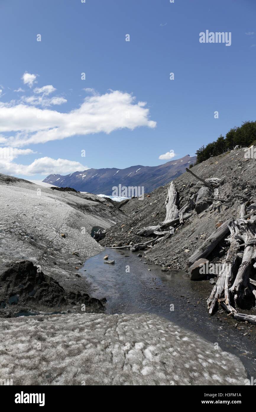 Tote Baumstämme an der Grenze des Glaciar Perito Moreno, wo Eis Felsen trifft Stockfoto