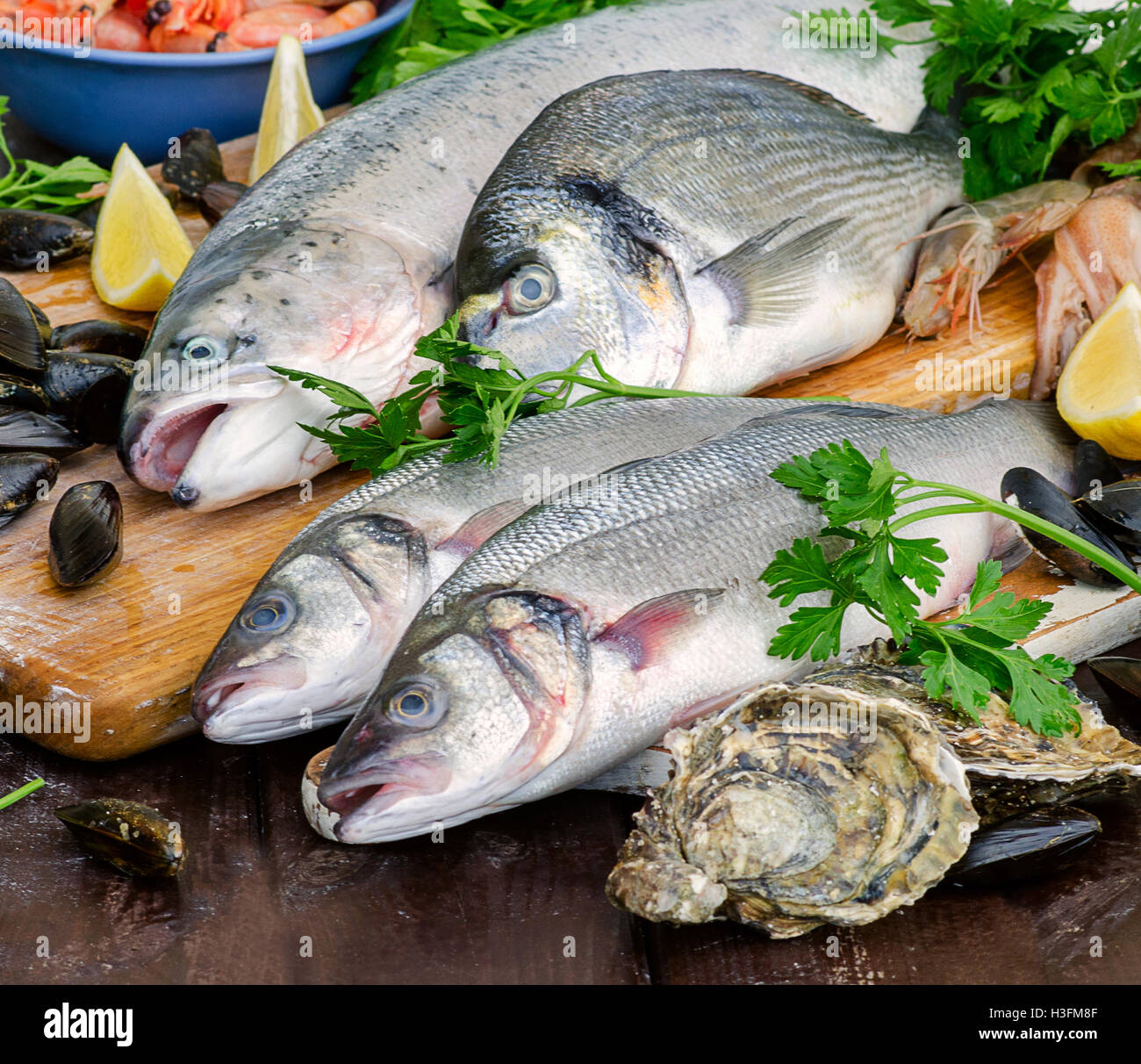 Rohe Meeresfrüchte auf einem Holzbrett. Gesunde Ernährung. Stockfoto