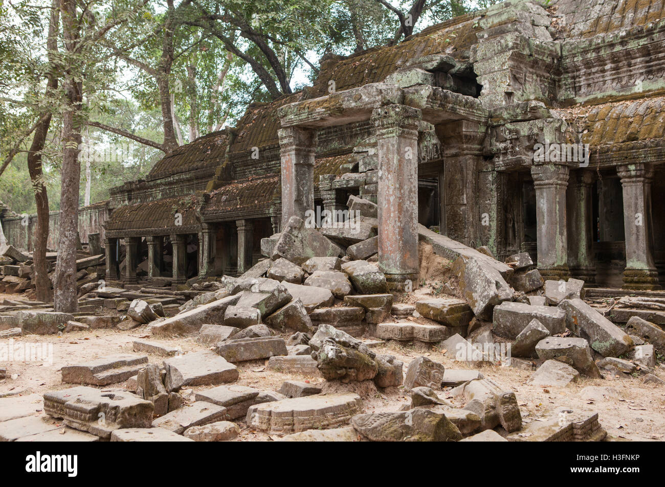 Angkor Archäologische Park, Ta Prohm Tempel-Ruinen, Siem Reap, Kambodscha. Stockfoto