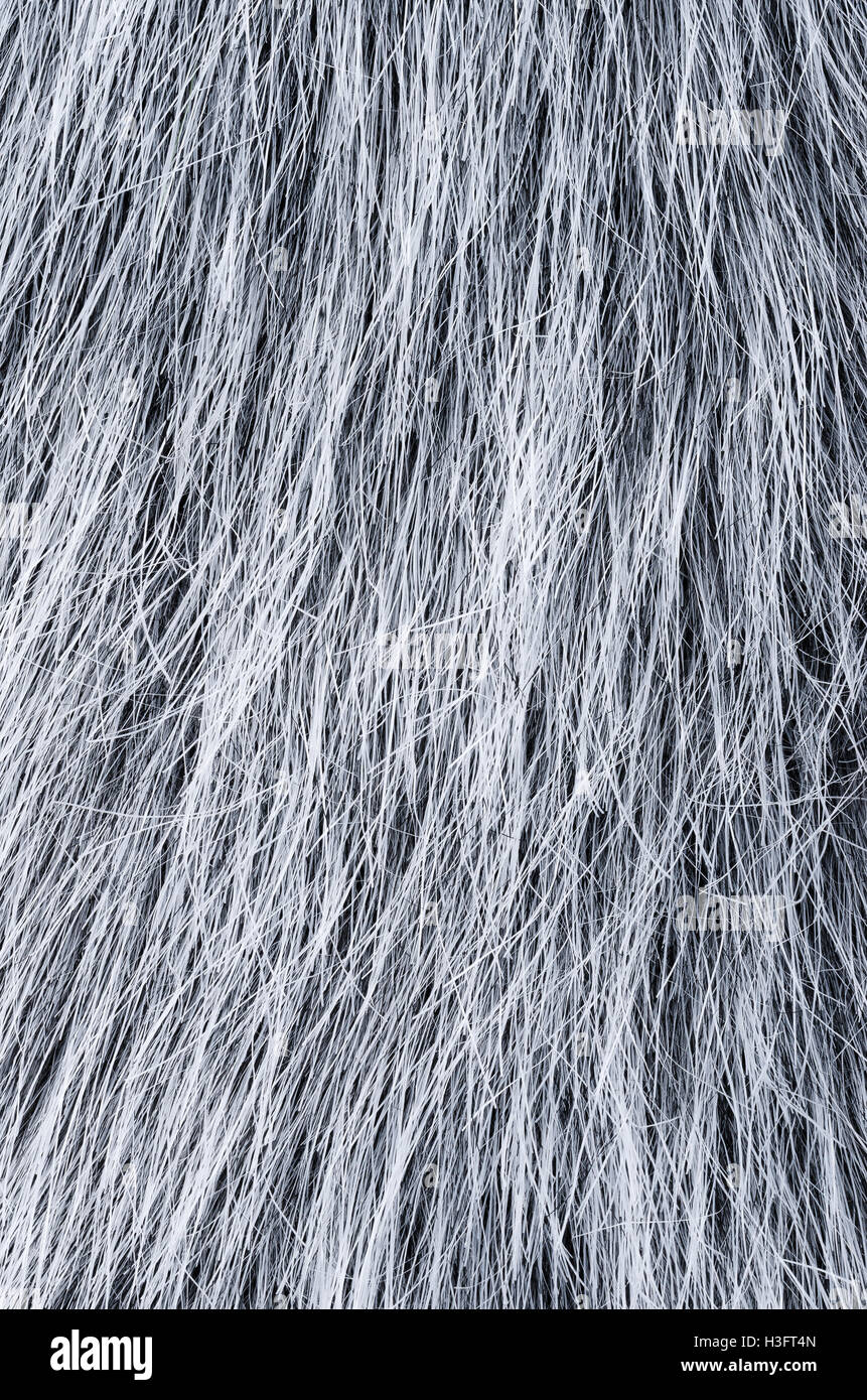 Vertikale graue Kunstfell. Wolf ähnlich Webpelz gemacht von synthetischen Fasern, entworfen, um Fell ähneln. Spaß Fell Nachahmung. Stockfoto