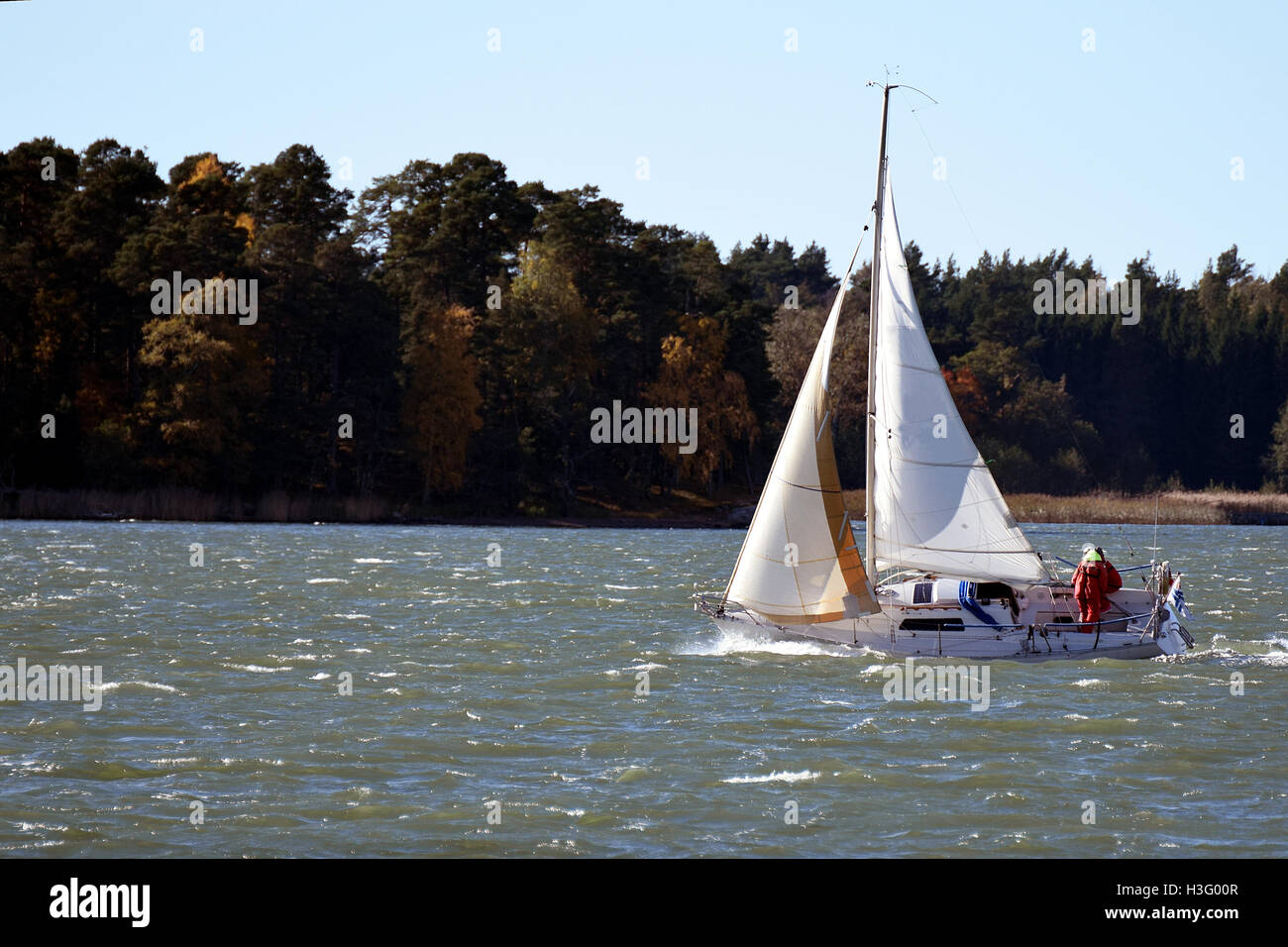 Segeln. Segelboot auf windigem Wetter. Stockfoto