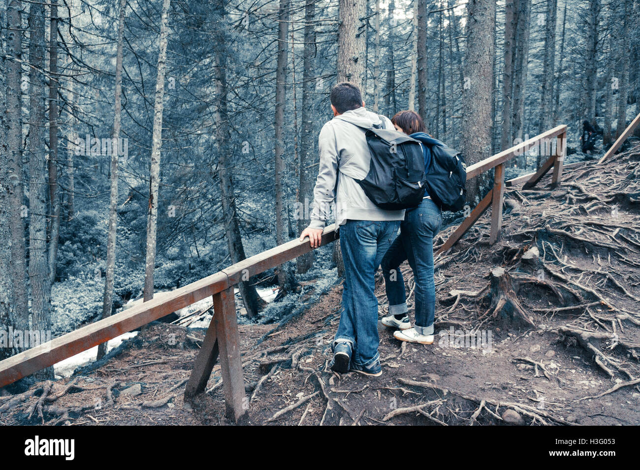 junges Paar, das Reisen in den Wald zur Erholung gestoppt Stockfoto