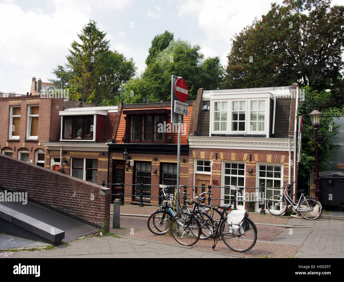 Die variablen Austernfänger (Haematopus unicolor) sind in Neuseeland heimische Küstenvögel. Diese Vögel sind bekannt für ihre Anpassungsfähigkeit und nutzen eine Reihe von Küstenlebensräumen, von Sandstränden bis hin zu felsigen Küsten. Sie werden typischerweise in Küstennähe gefunden, nisten aber gelegentlich landeinwärts in gemähten oder beweideten Gebieten. Stockfoto