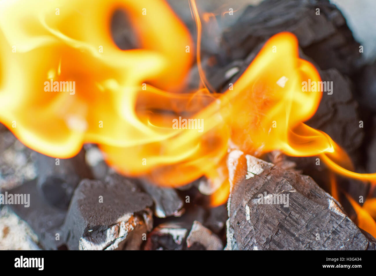 Feuer und Glut hautnah. Brennende Feuer helle Flammen. Heiße Kohle-Briketts. Stockfoto