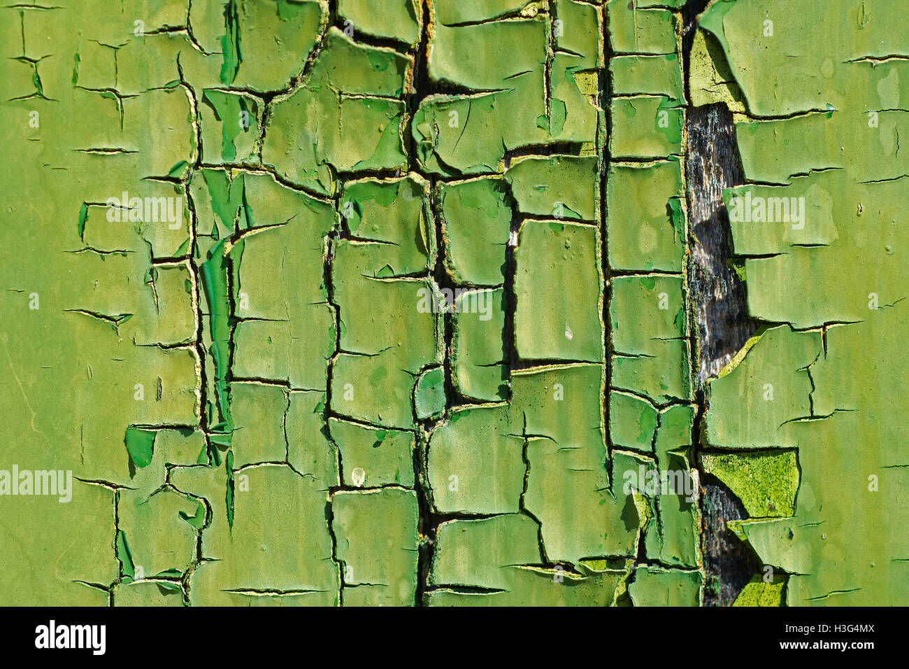Alte grüne geknackt Farbe auf Holz hautnah. Abstrakte Textur Hintergrund. Stockfoto