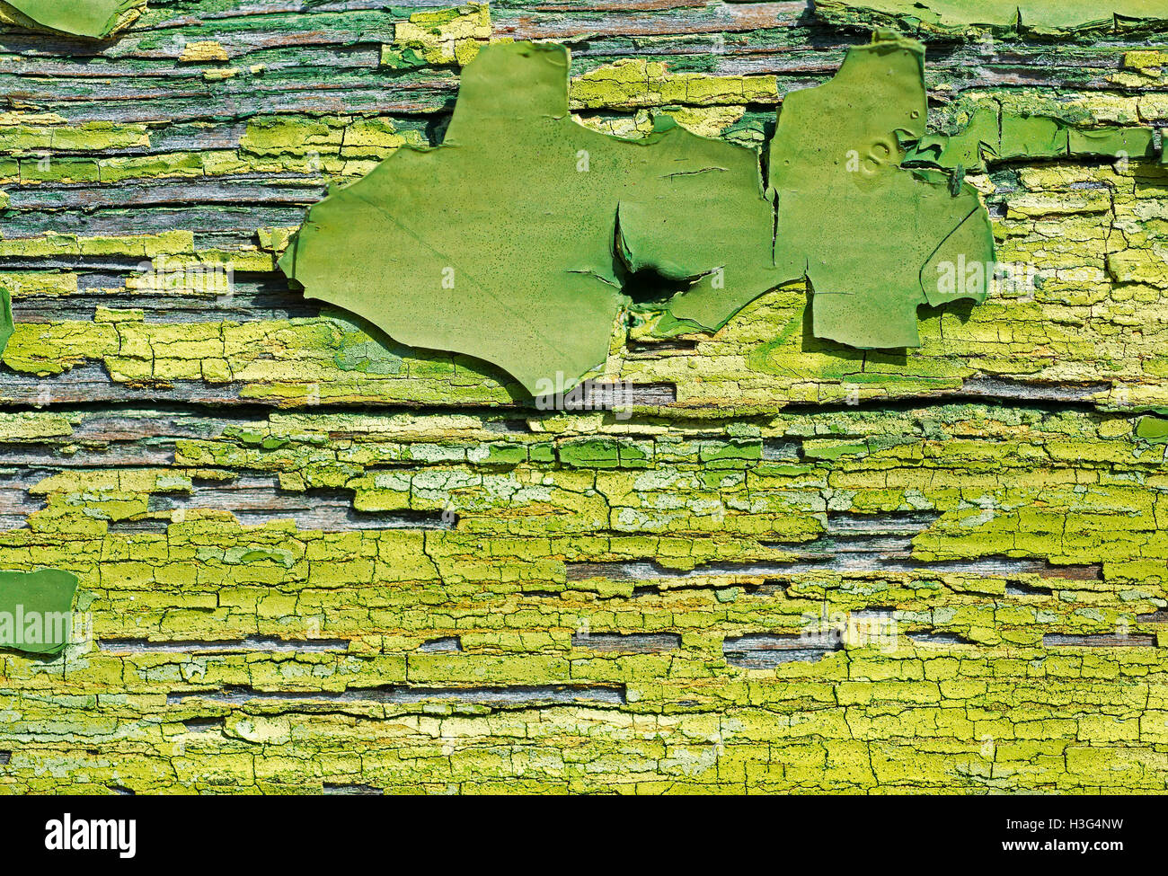Alte grüne geknackt Farbe auf Holz hautnah. Abstrakte Textur Hintergrund. Stockfoto