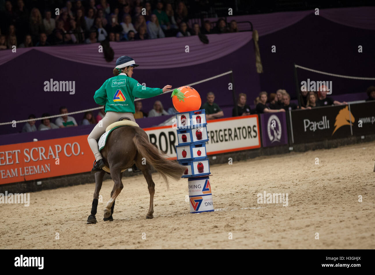 Birmingham, Vereinigtes Königreich. 8. Oktober 2016. Virbac 3D Entwurmung Pony Club Mounted Games - Prince Philip Cup HOY - Pferd des Jahres in Genting Arena Credit: Steven Reh/Alamy Live News Stockfoto