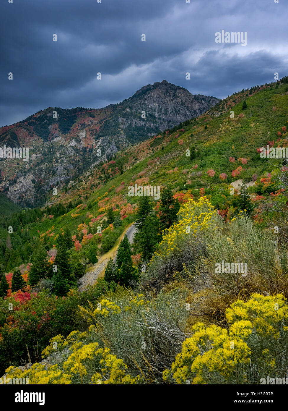 Farben des Herbstes beginnen, der Bergseite American Fork Canyon zu punktieren. Stockfoto
