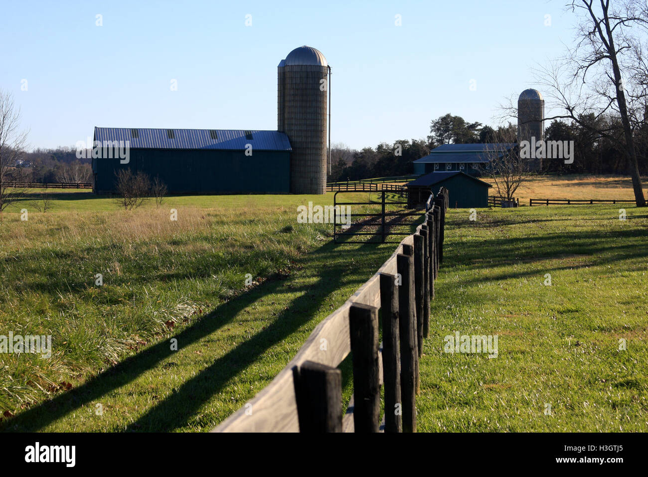 Silos auf Farm im ländlichen Virginia, USA Stockfoto