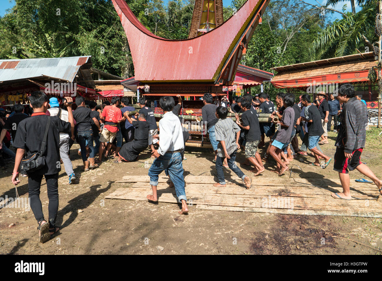 : Familie und Verwandten parade den Sarg, die spezielle Grabstätte befindet sich auf Lemo, North Toraja. Stockfoto
