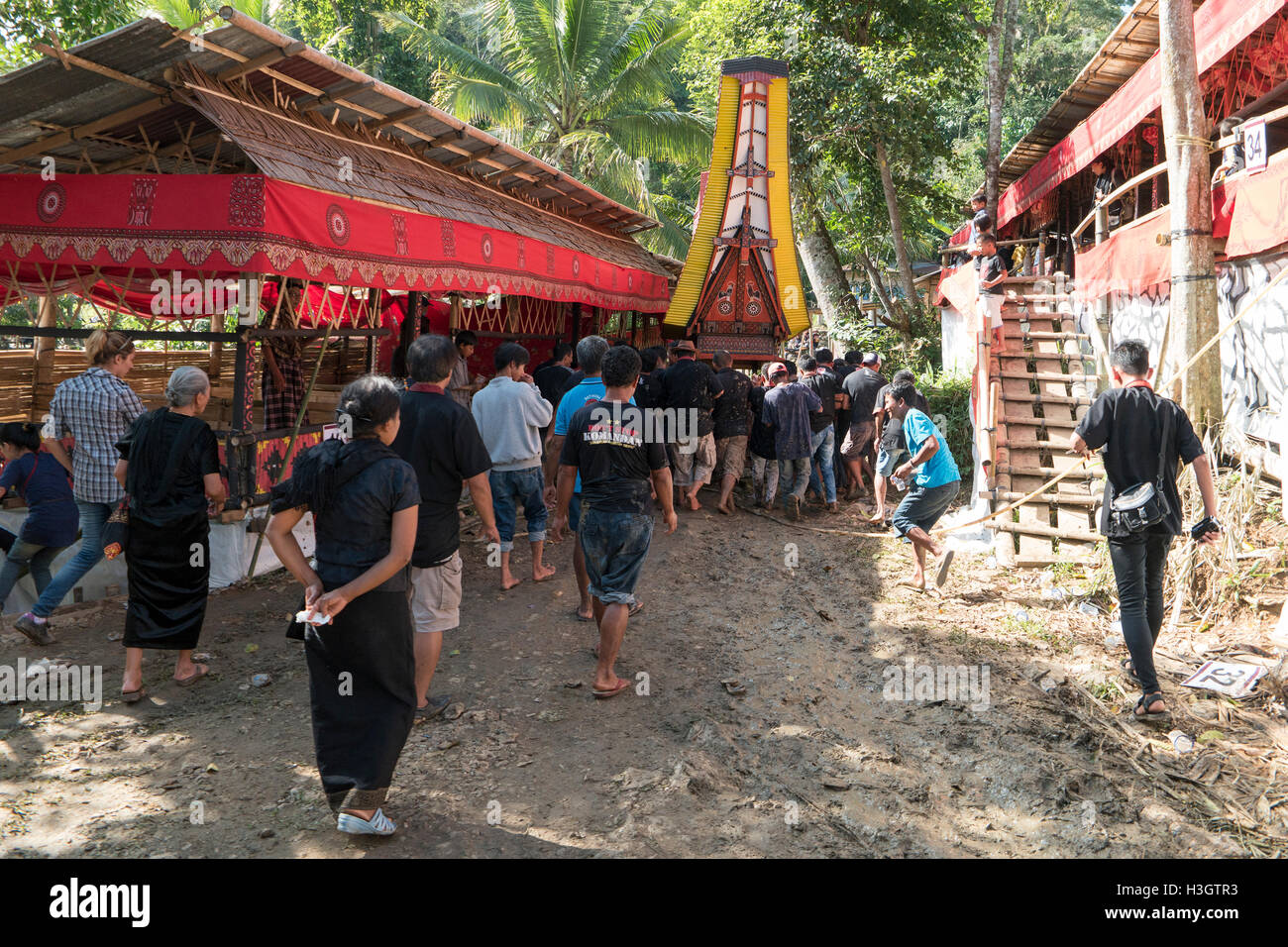 : Familie und Verwandten parade den Sarg, die spezielle Grabstätte befindet sich auf Lemo, North Toraja. Stockfoto