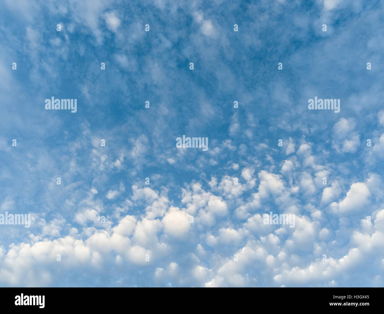 Heap-Wolken am blauen Himmel. Natur-Hintergrund. Stockfoto