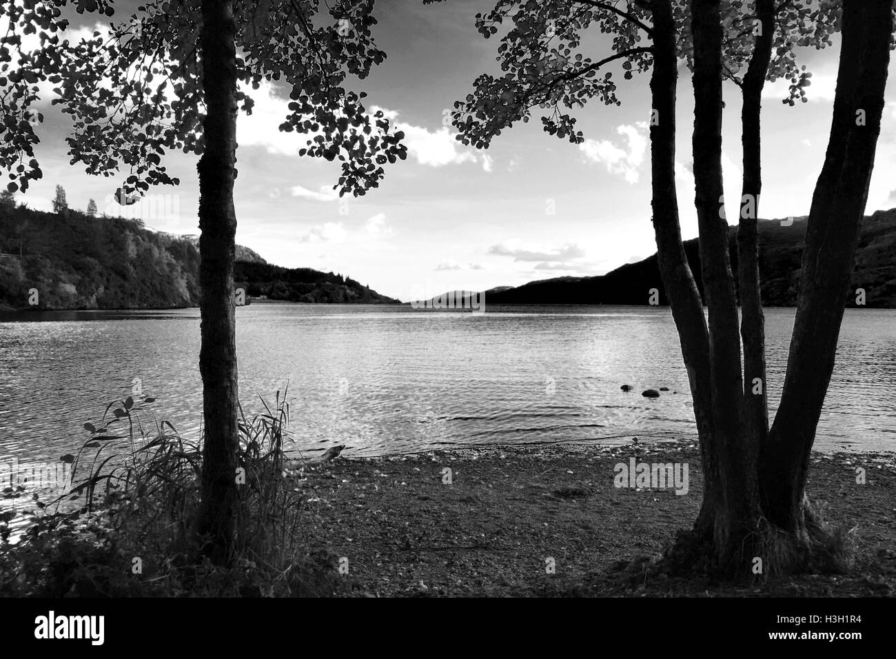 Loch Ness Ufer in Fort Augustus in Schottisches Hochland Stockfoto