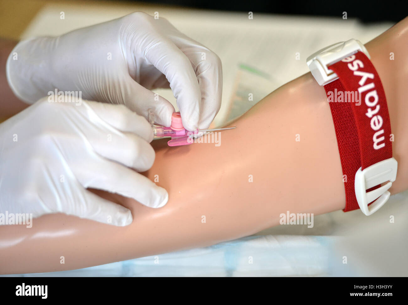 Medizinische Auszubildenden üben Kanülierung mit Hand Dummies. Stockfoto