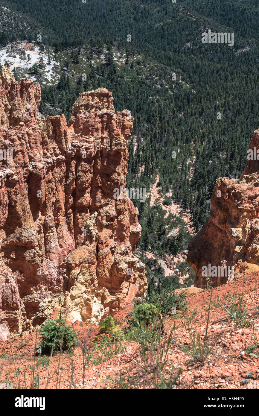 Agua Canyon Ansicht, Bryce-Canyon-Nationalpark, Utah Stockfoto