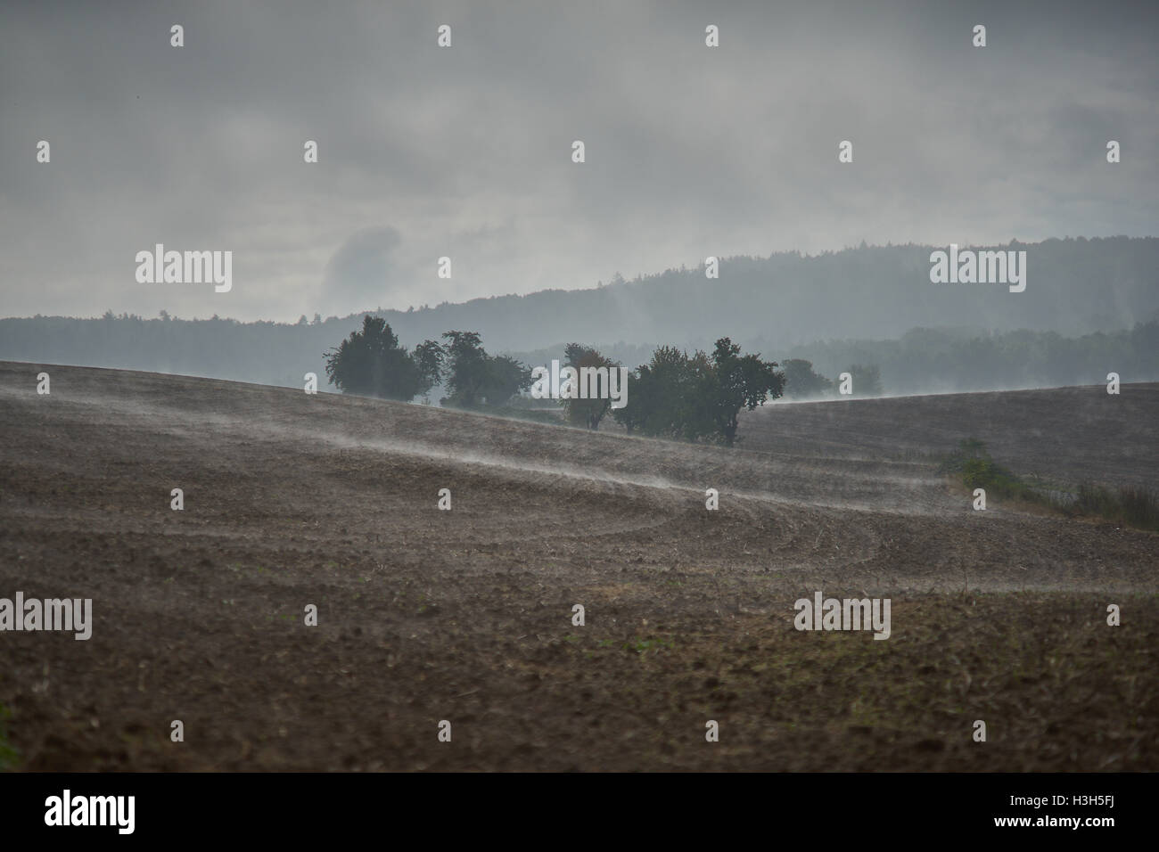 Steigender Nebel über die hügelige Felder im Oktober am Morgen Stockfoto