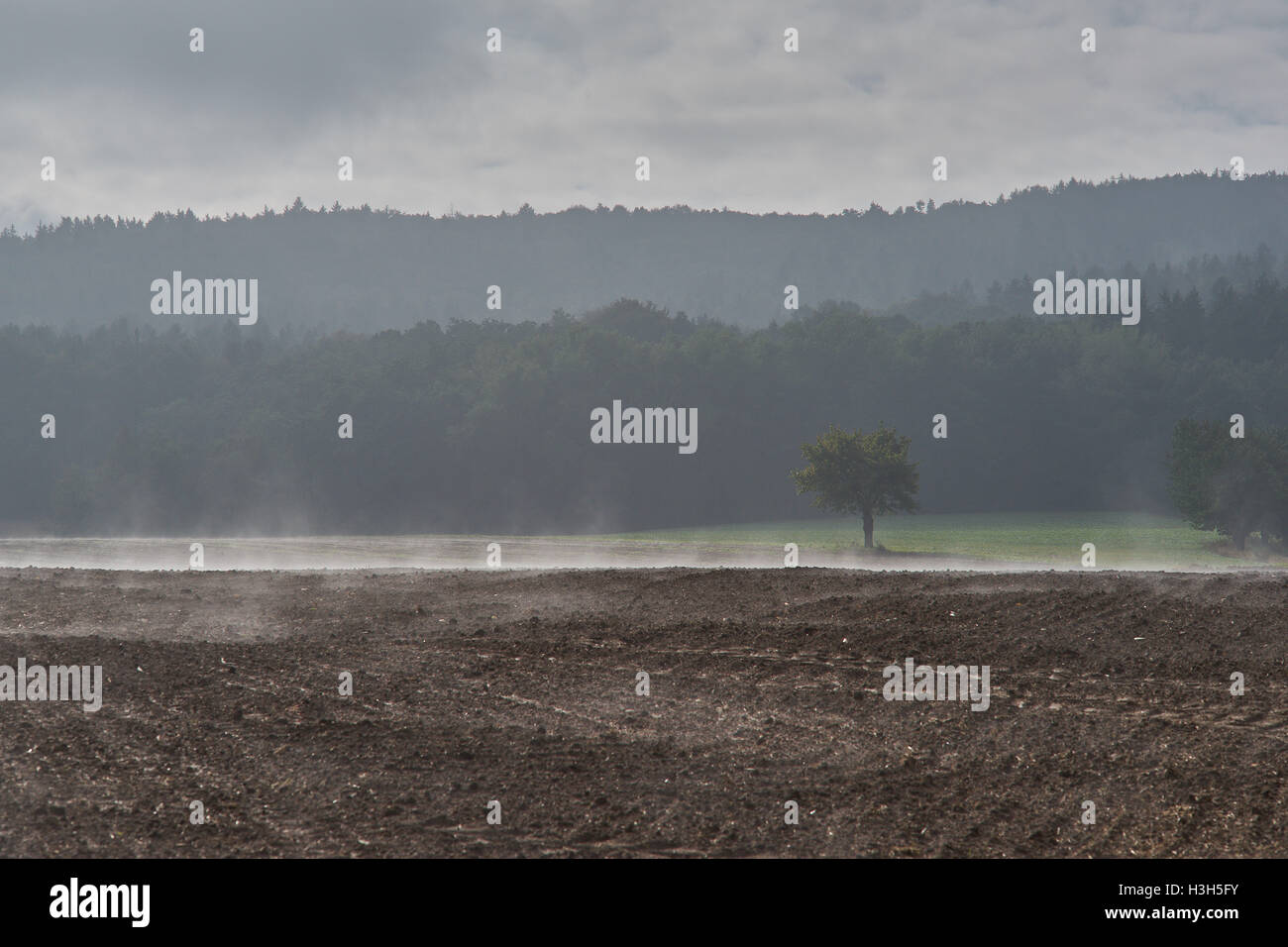 Steigender Nebel über die hügelige Felder im Oktober am Morgen Stockfoto