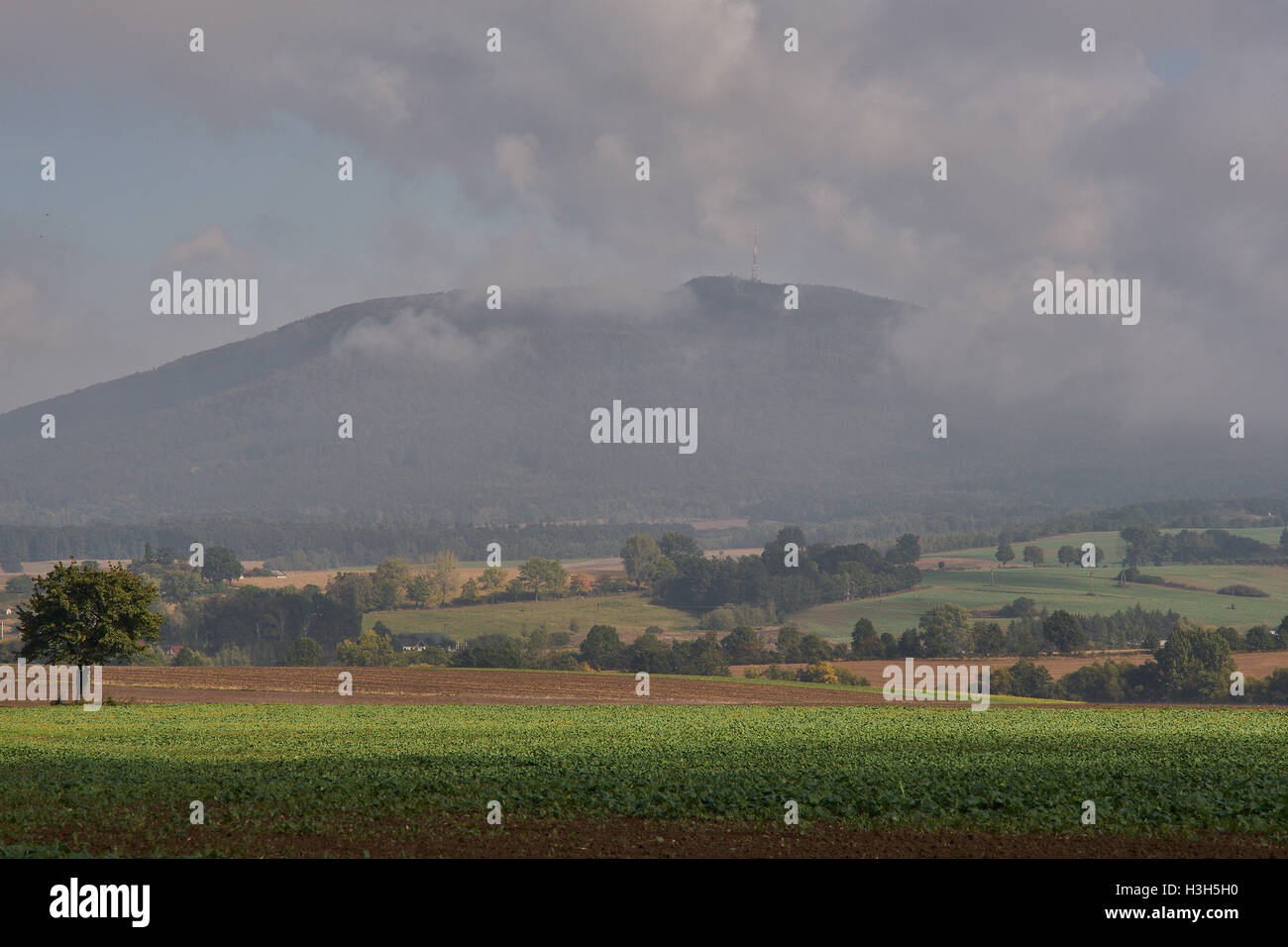 Steigender Nebel über die hügelige Felder im Oktober am Morgen Stockfoto