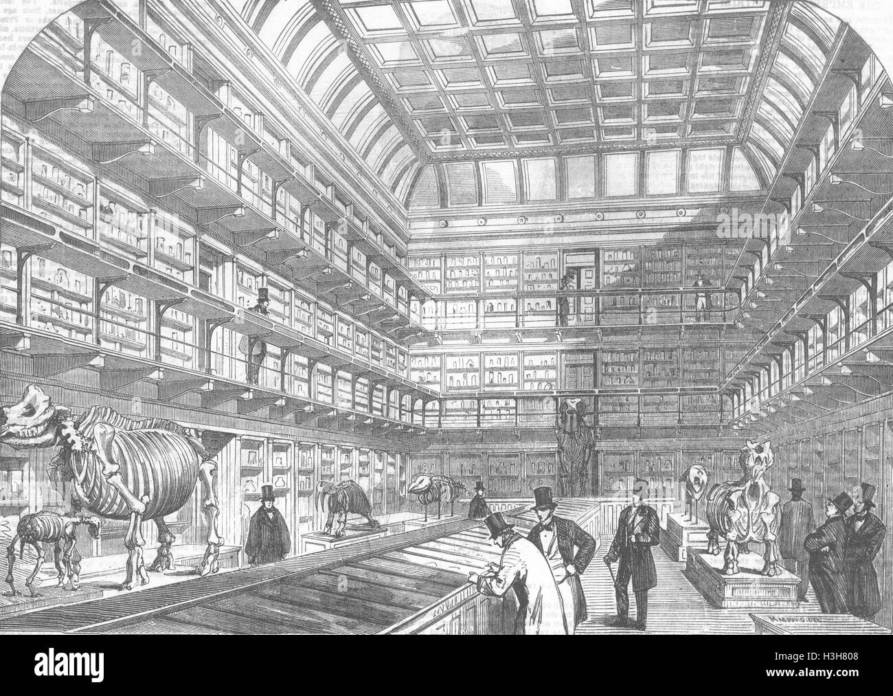 Londoner Royal College of Surgeons Museum, Gasthaus Lincolns 1854. Illustrierte London News Stockfoto