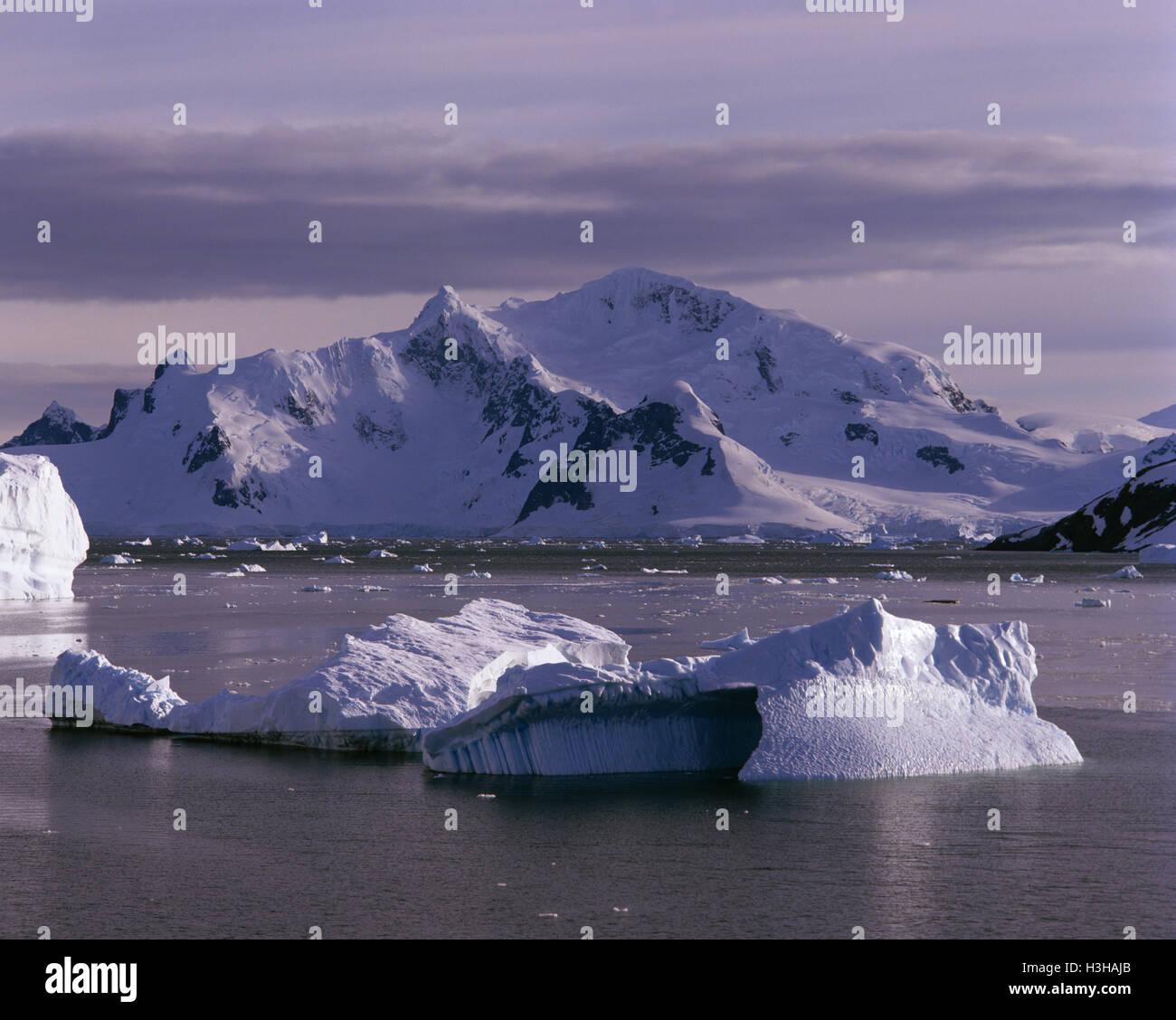 Eisberge von Graham-Land, Stockfoto