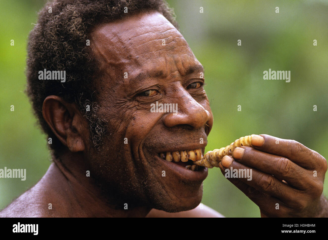 Papua Mann isst eine Grub. Stockfoto