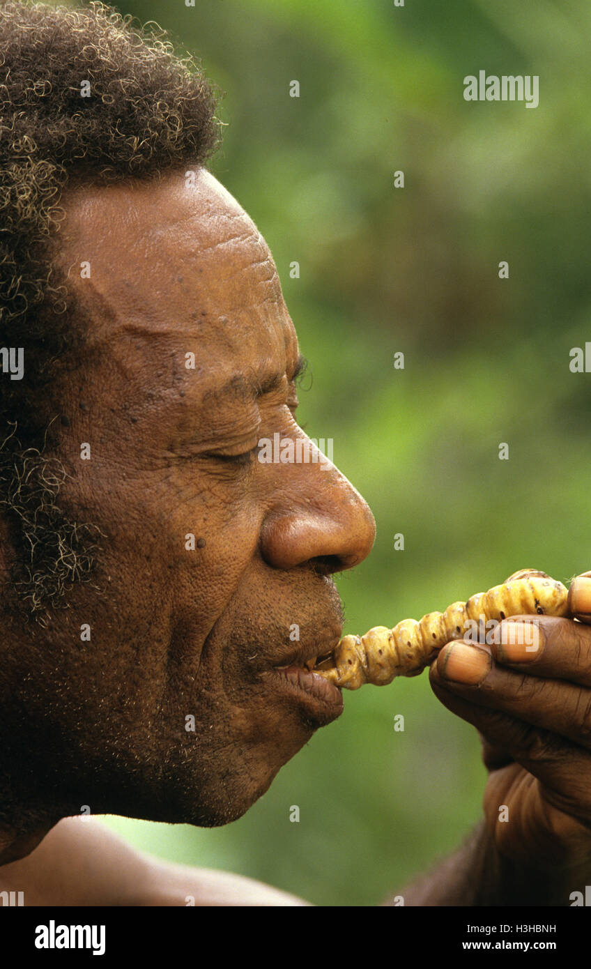 Papua Mann isst eine Grub, Stockfoto