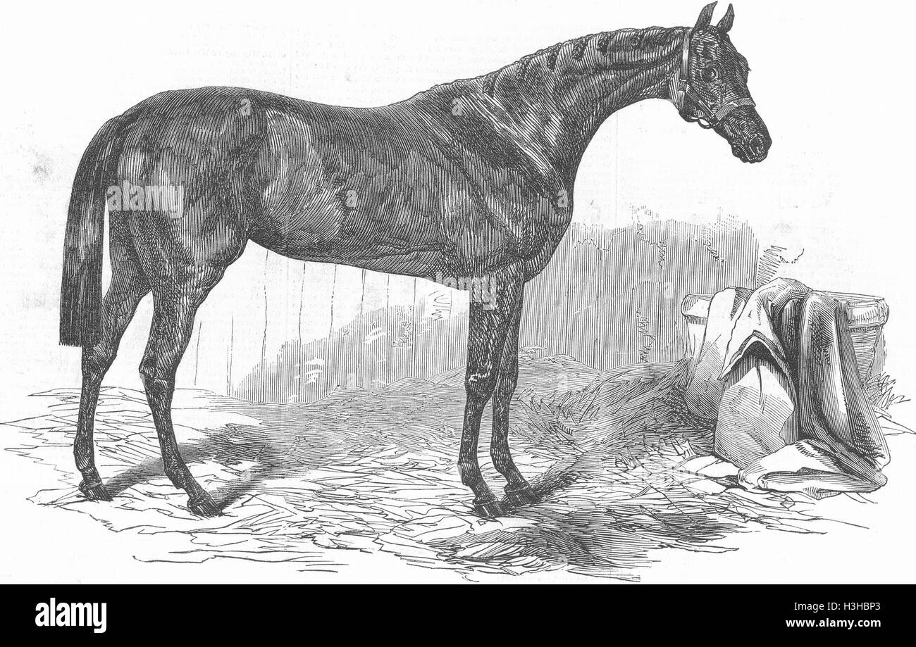 DONCASTER Rennen Flying Dutchman, St. Leger-Sieger 1849. Illustrierte London News Stockfoto