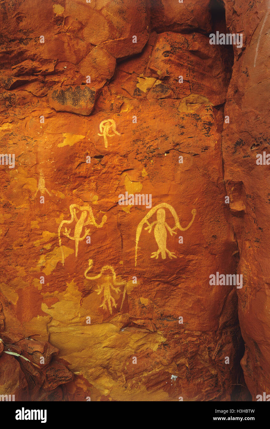 Felsmalereien der Aborigines. Killagurra Federn, gut 17 auf der Canning Stock Route Stockfoto