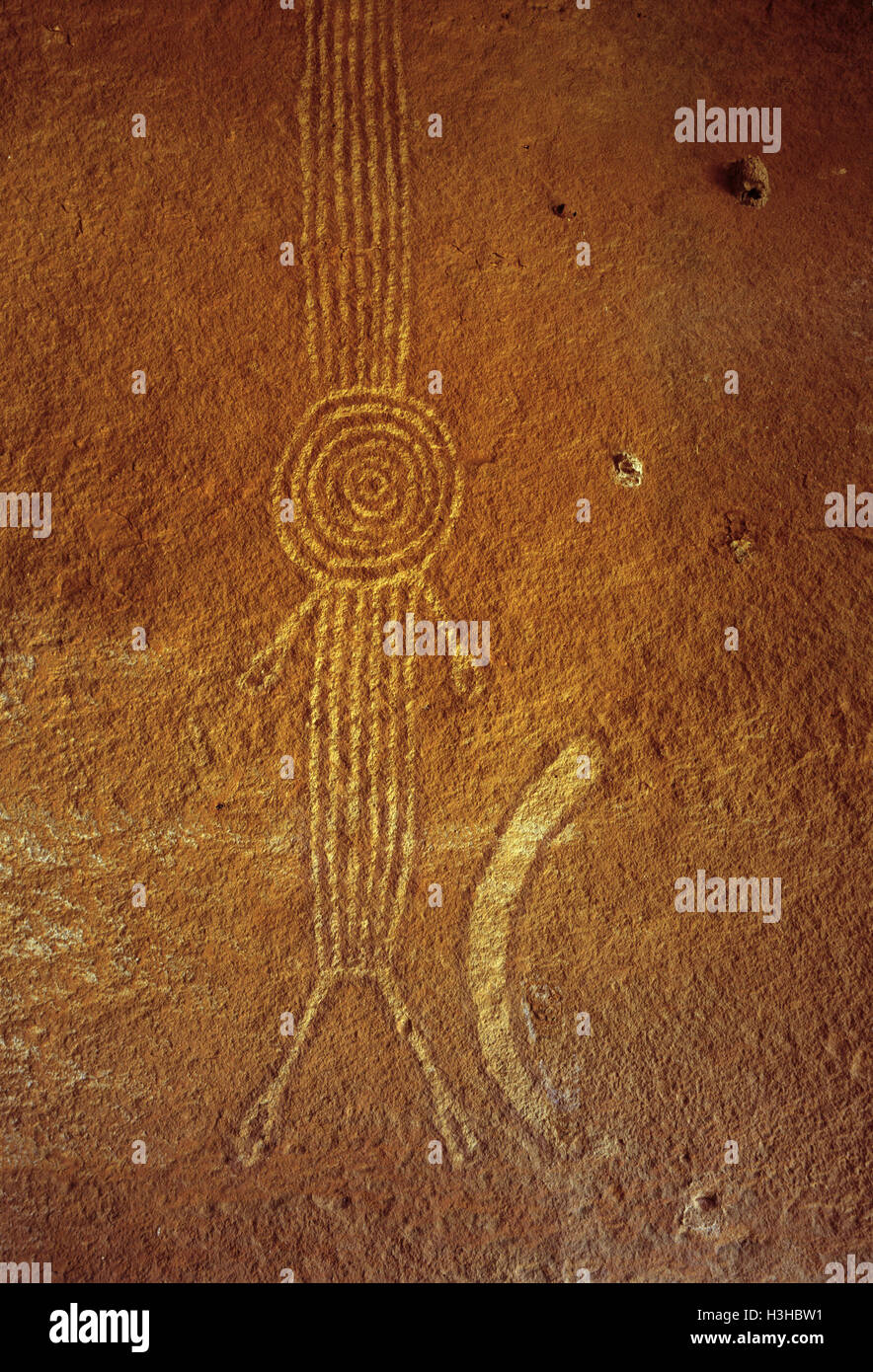 Der Aborigines Malerei, Killagurra Federn (gut 17 auf der Canning Stock Route) Stockfoto