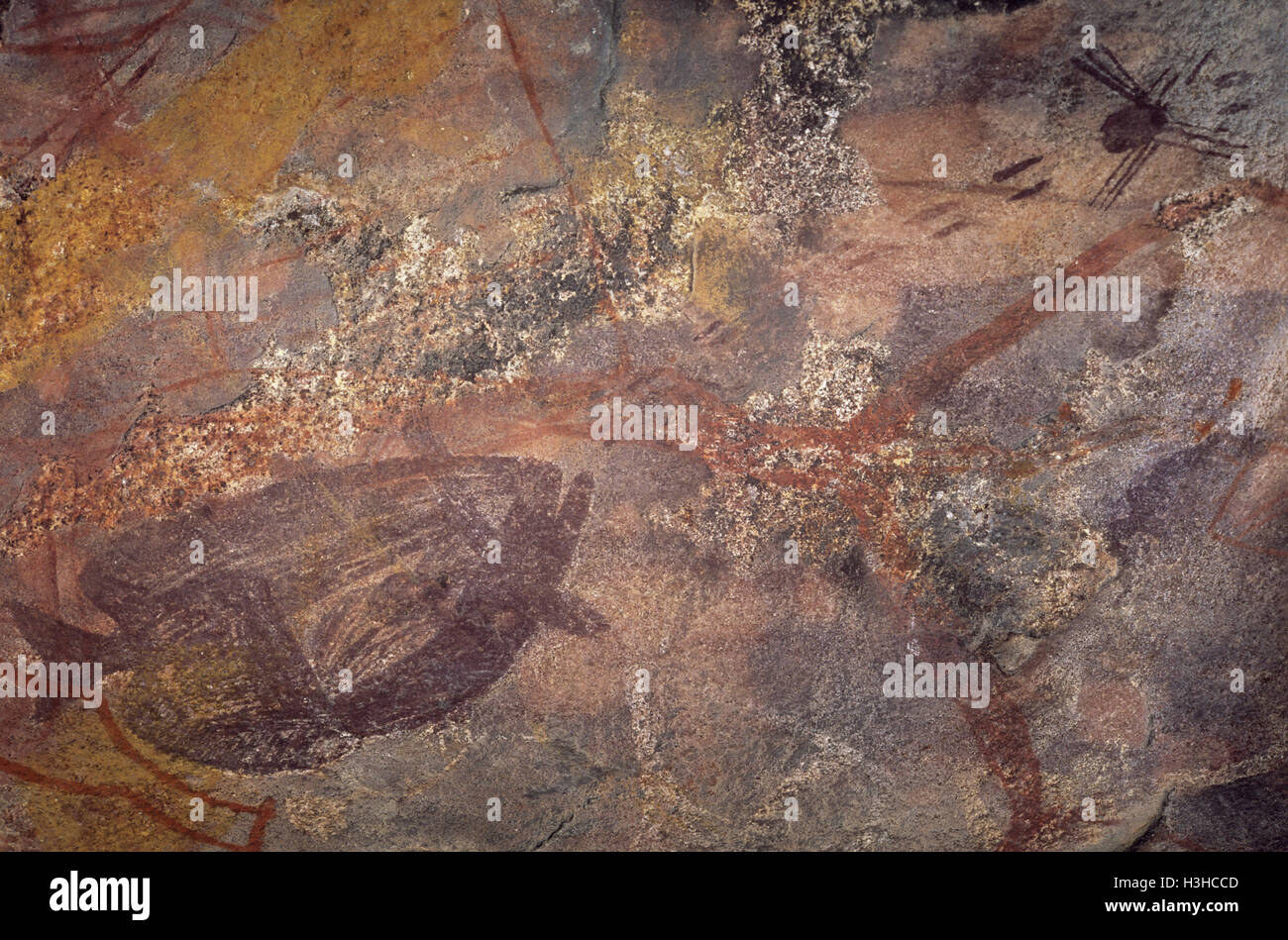 Aborigines Malerei von Archer Fisch Anspucken Spinne. Stockfoto