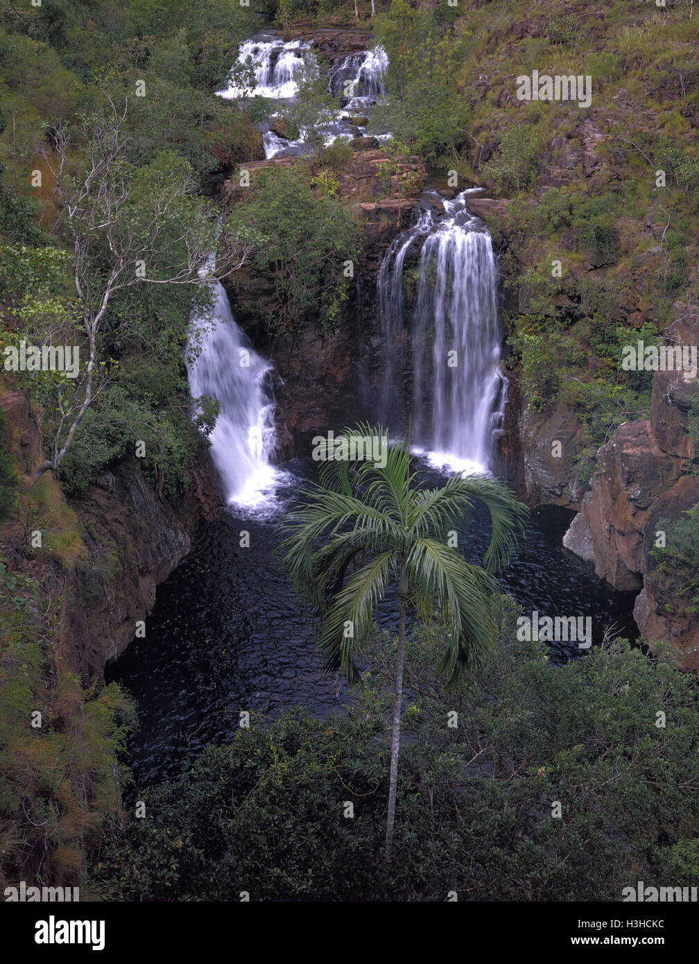 Florence Falls und Carpentaria Palmen (Carpentaria Acuminata) Stockfoto