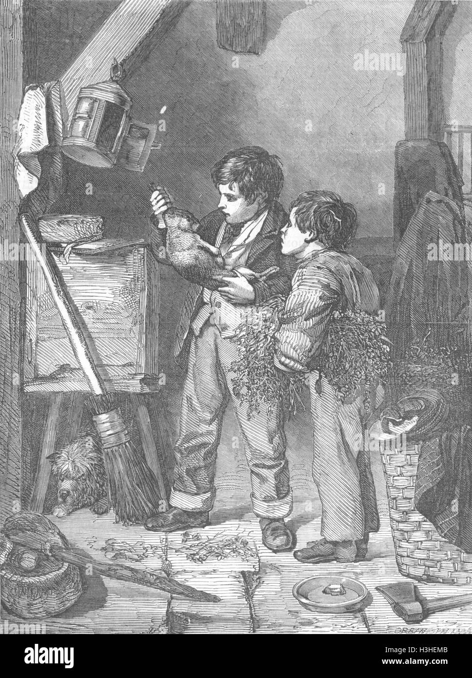 Kaninchen das Toten Kaninchen 1857. Illustrierte London News Stockfoto