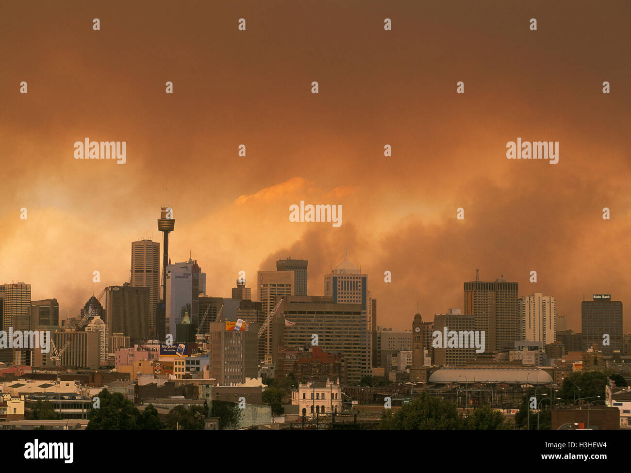 Buschfeuer tobt in der Nähe von Sydney. Sydney, New South Wales, Australien Stockfoto