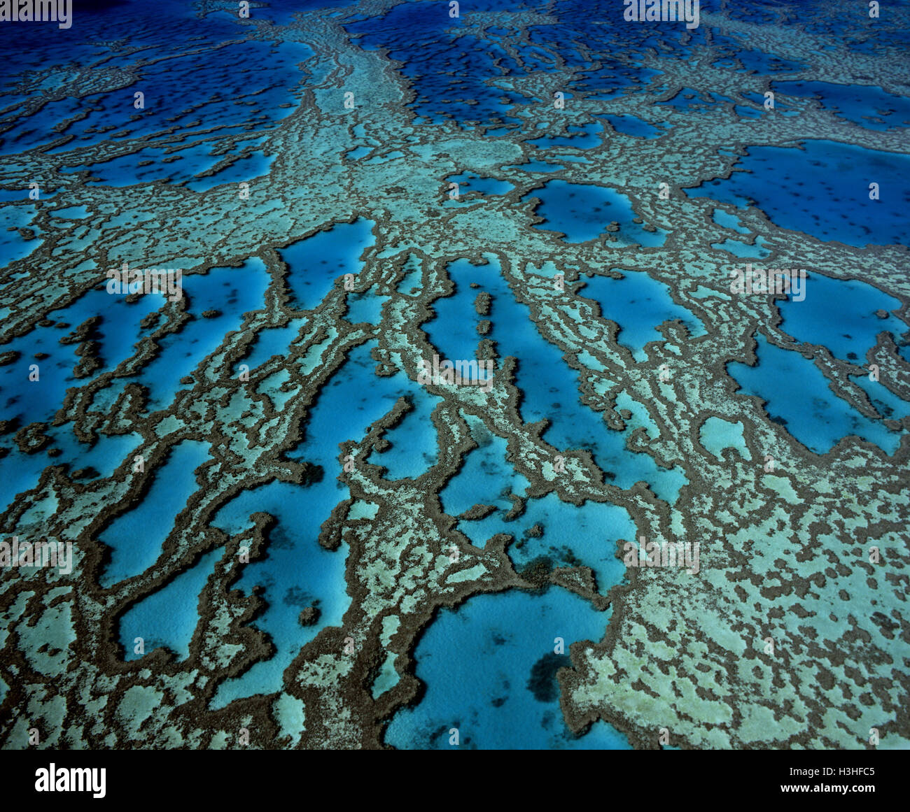 Hardy Reef Korallen-Formationen, Stockfoto