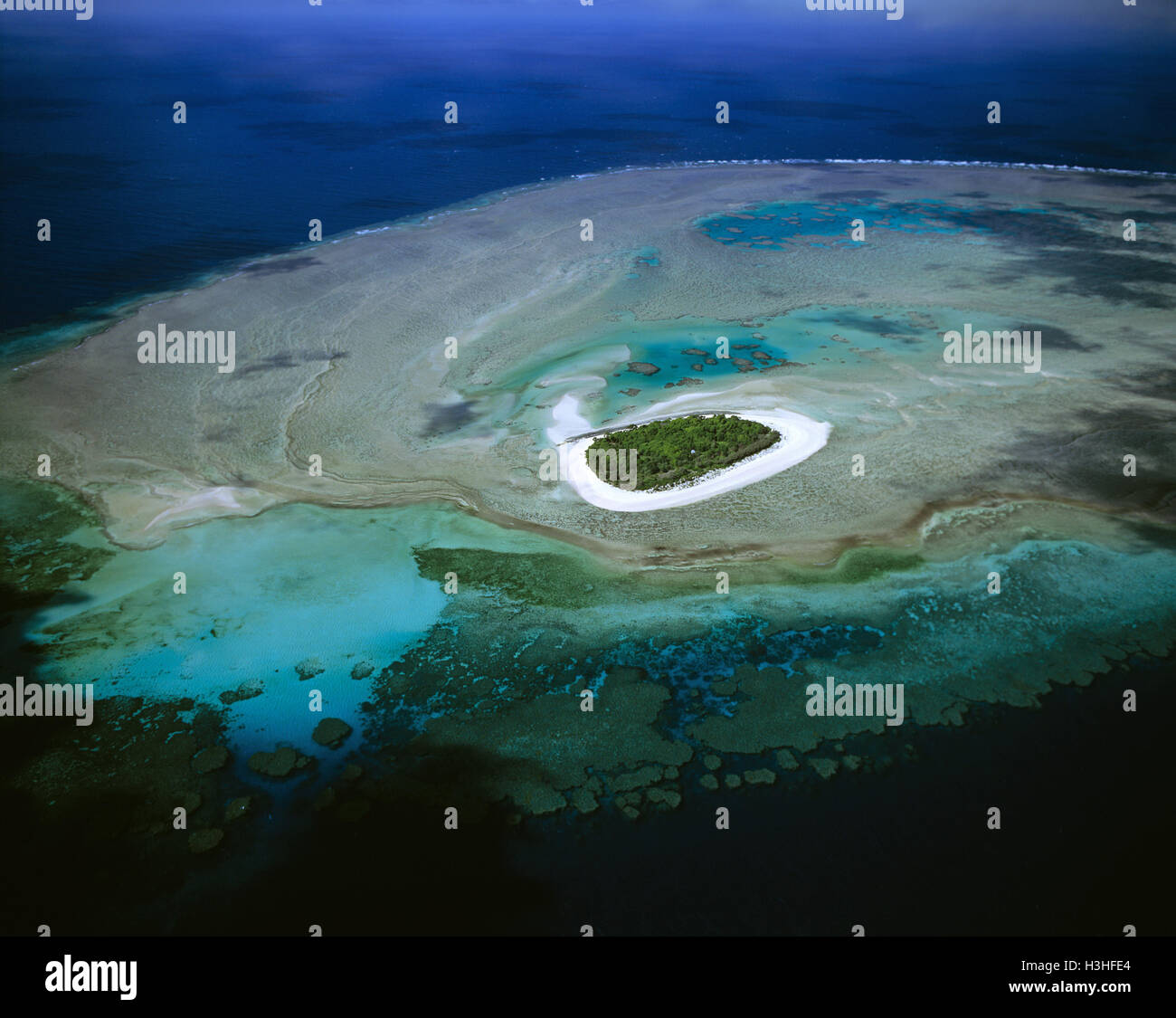 Bushy Insel, eine Reife bewachsenen Cay aus Mackay, Stockfoto