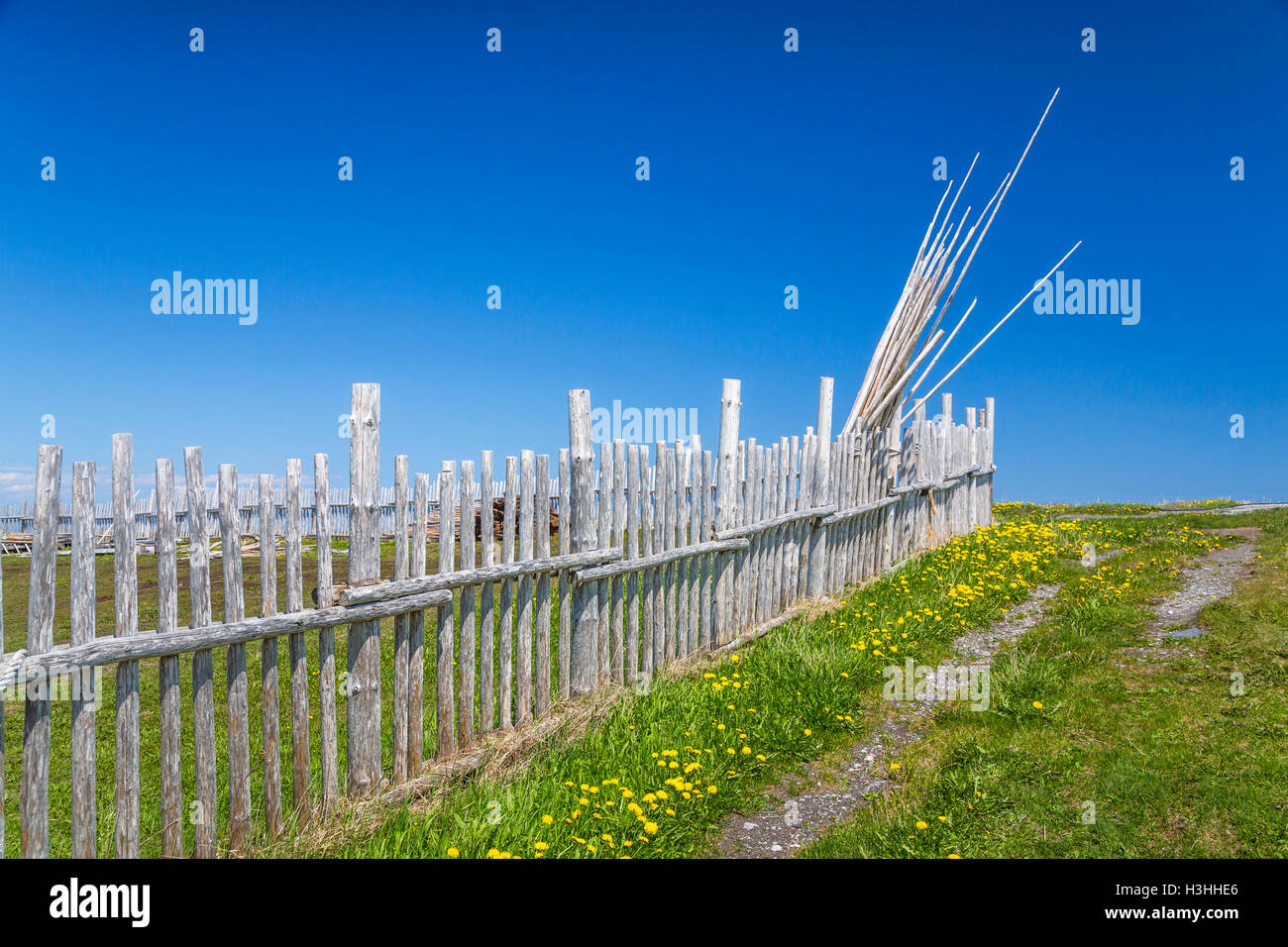 Die l ' Anse Aux Meadows National Historic Site in der Nähe von St. Anthony, Neufundland und Labrador, Kanada. Stockfoto