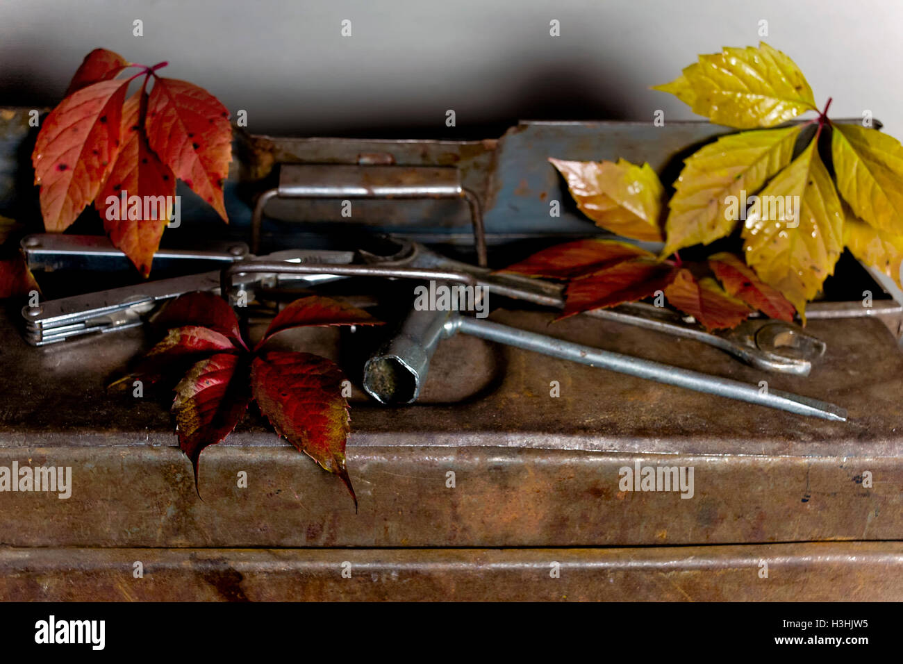 Alten Werkzeugkasten Stockfoto