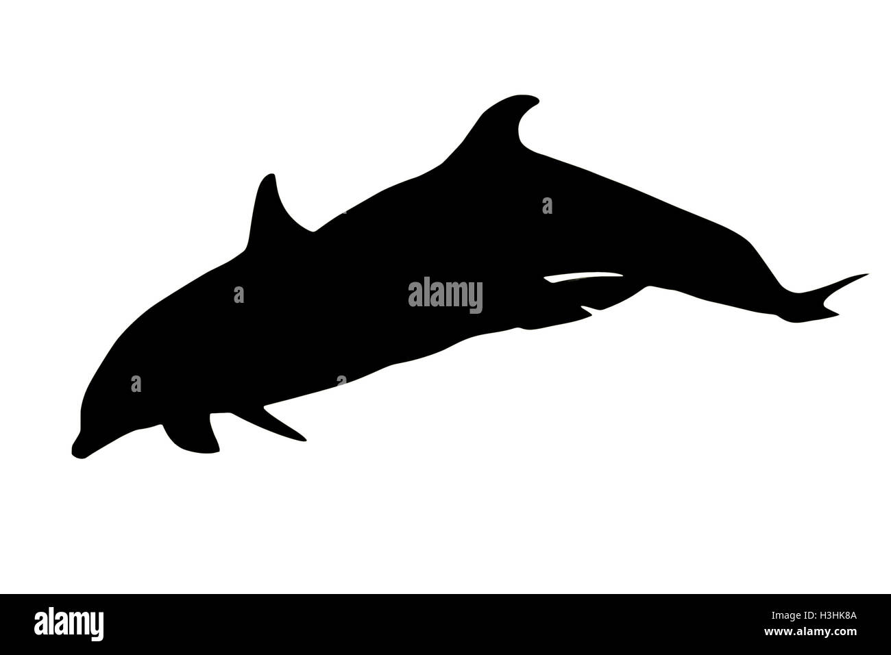 Silhouette von zwei Delphinen Seite beim springen zusammen. Isoliert auf weißem Hintergrund. Stockfoto