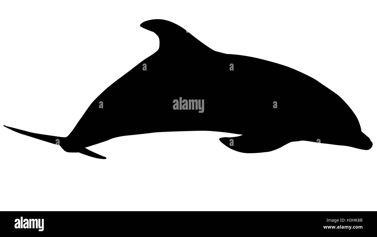 Silhouette der Seite Delphin beim Schwimmen. Isoliert auf weißem Hintergrund. Stockfoto