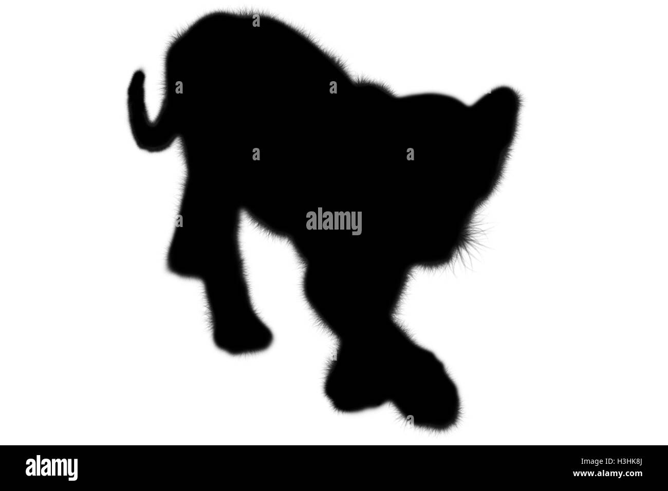 Eine nette Silhouette-Baby-Tiger zu Fuß. Isoliert auf weißem Hintergrund. Stockfoto