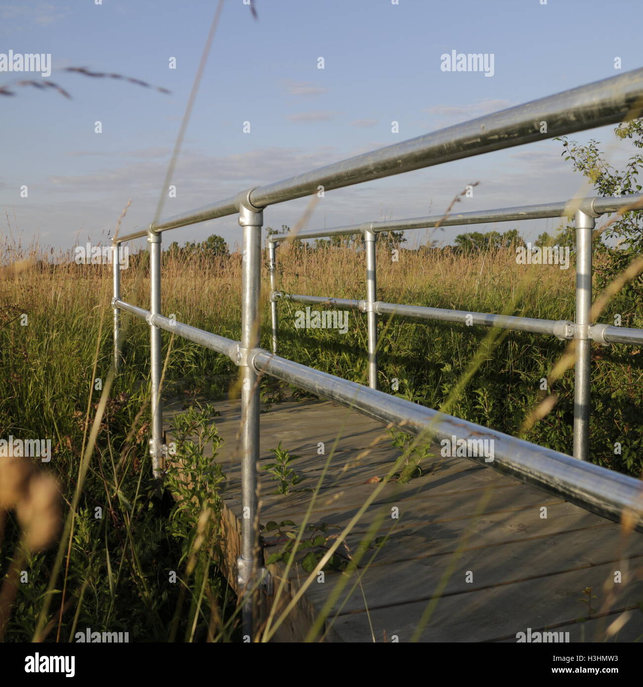 Ländliche Fußgängerbrücke in Weizenfeldern. Stockfoto