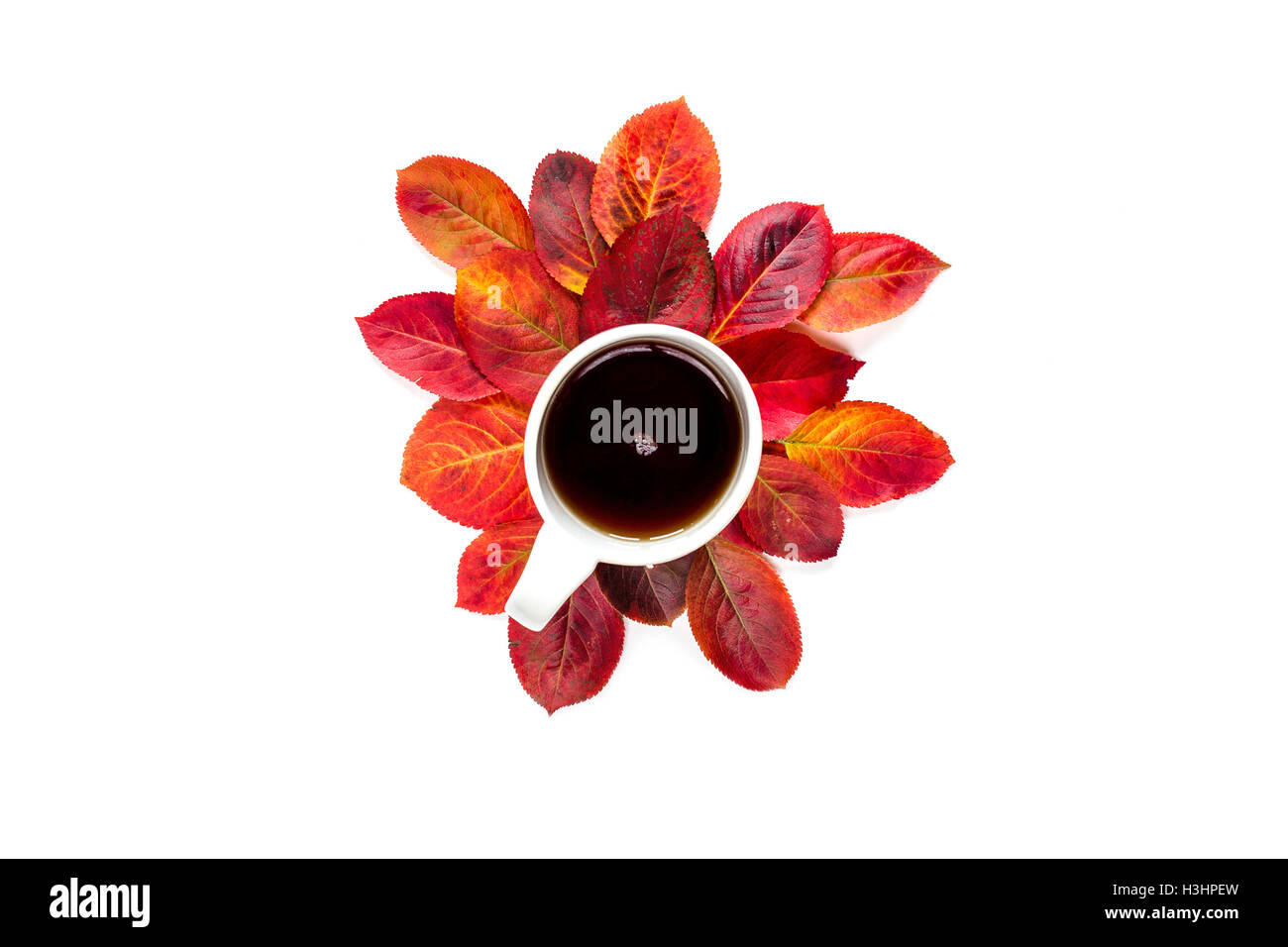 Flache Komposition Tasse Tee mit roten Herbst Blätter isolierten auf weißen Hintergrund Stockfoto