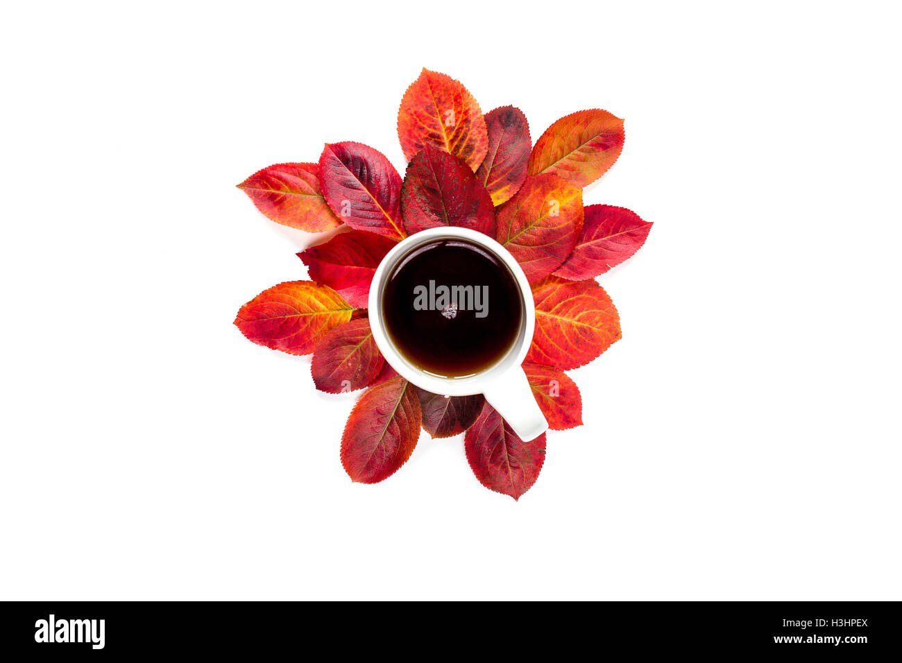 Zusammensetzung Tasse Kaffee und roten Herbstlaub isoliert auf weißem Hintergrund Stockfoto