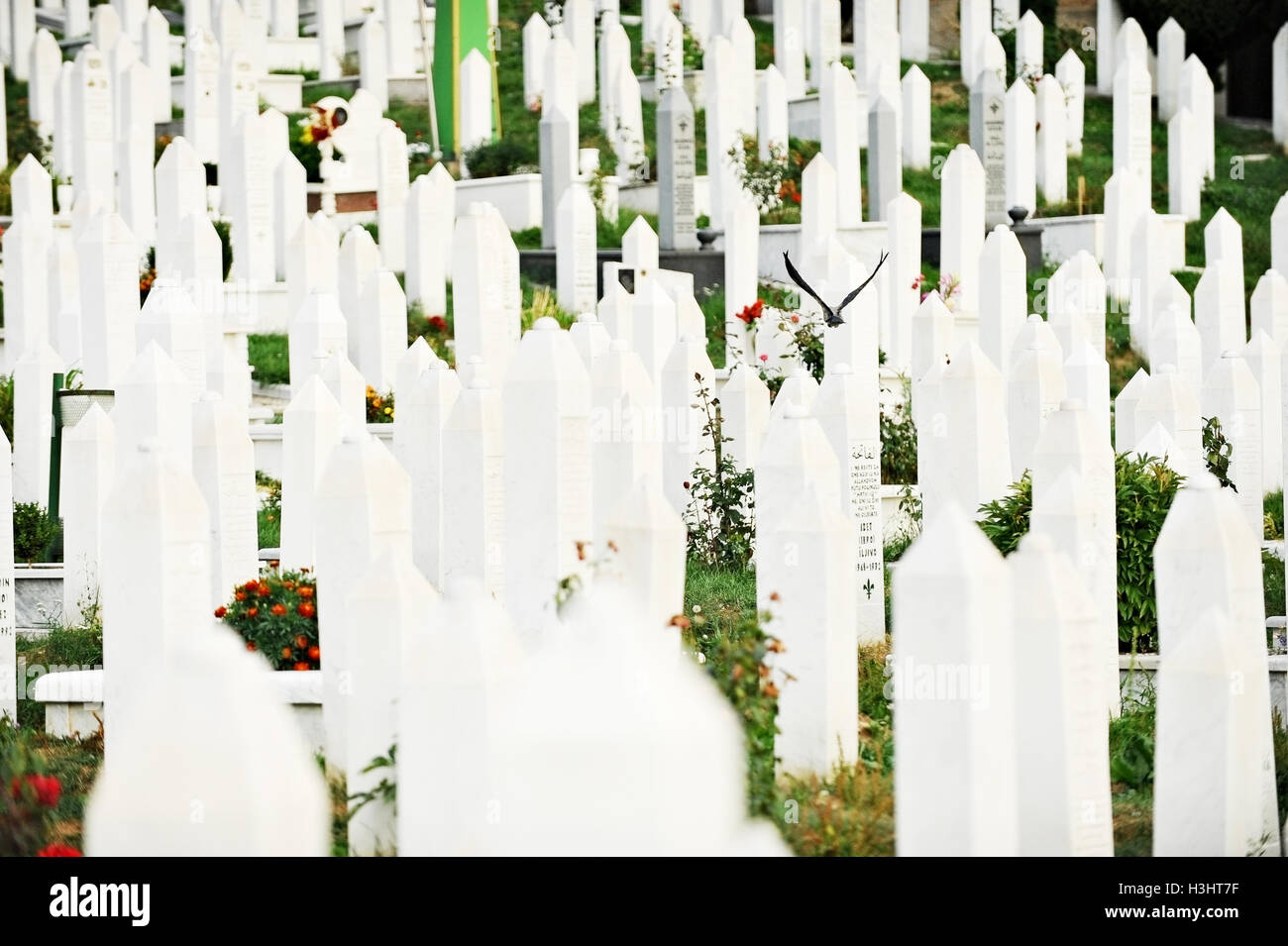 Muslimische Gräber auf dem Friedhof, gewidmet den Opfern der Belagerung von Sarajevo Stockfoto